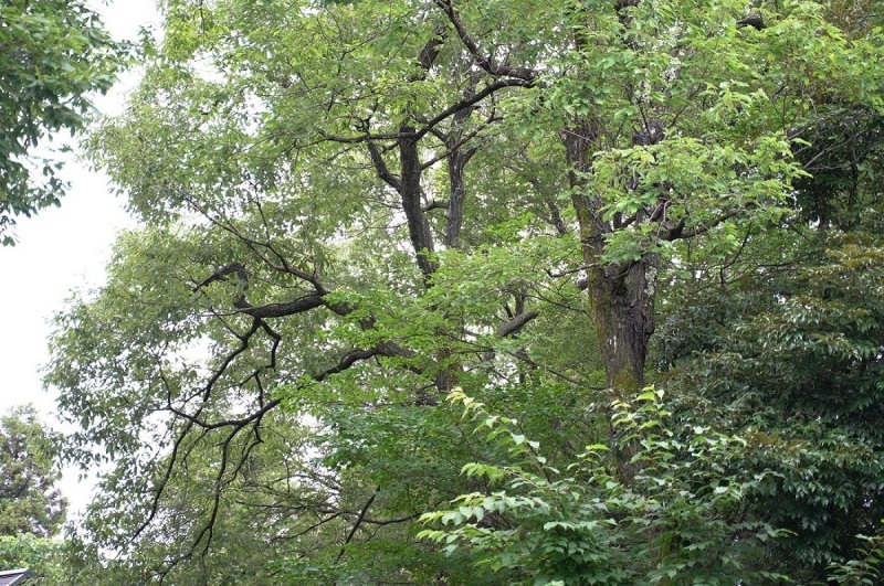 d0234293_06014304.jpg