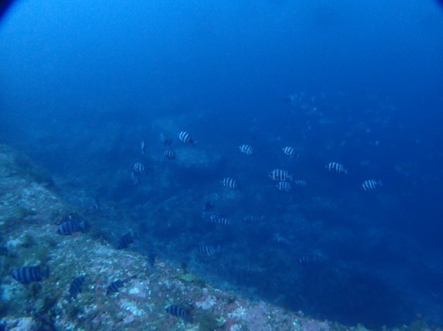 e0115199_18493200.jpg