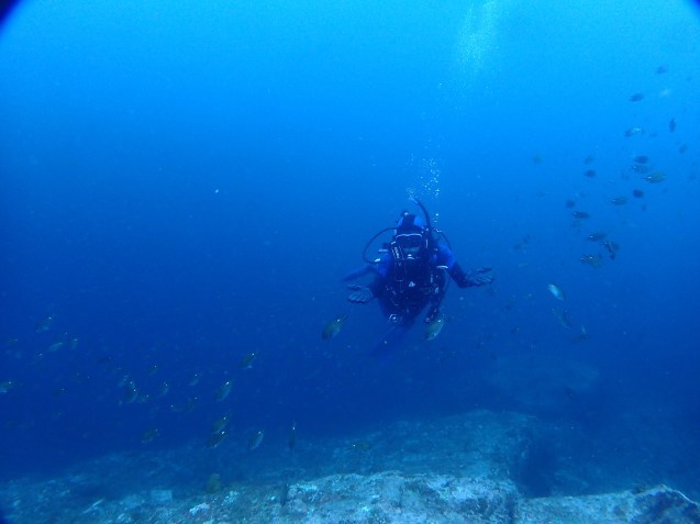 e0115199_18524363.jpg