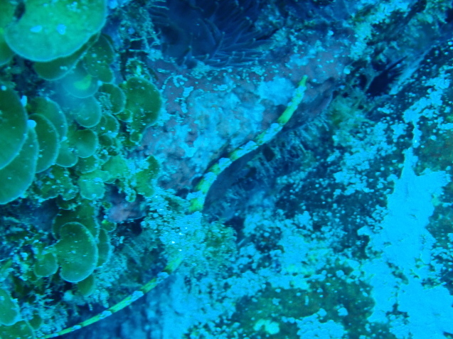 e0115199_19220606.jpg