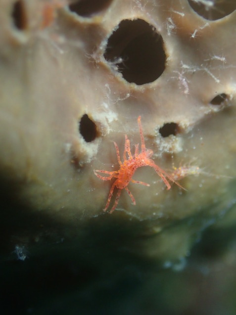 e0115199_19324239.jpg
