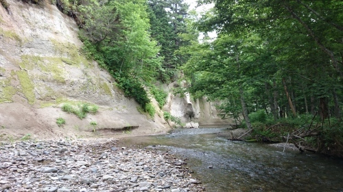 b0172805_01342554.jpg