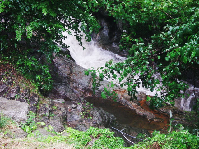 e0183106_20262215.jpg