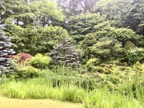d0179410_00290298.jpeg