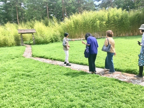 d0179410_21564629.jpeg
