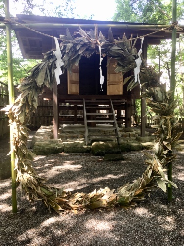 d0179410_22425350.jpeg