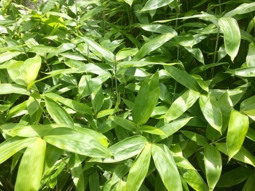 d0179410_22515261.jpeg