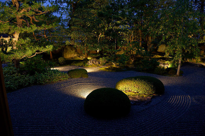 夏の夜の特別公開＠妙心寺塔頭・春光院　其の二_f0032011_20065654.jpg