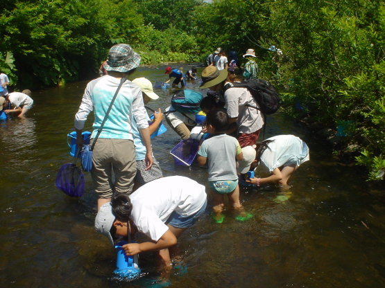 2019年 水生昆虫観察会 第1回目_d0070814_14380914.jpg