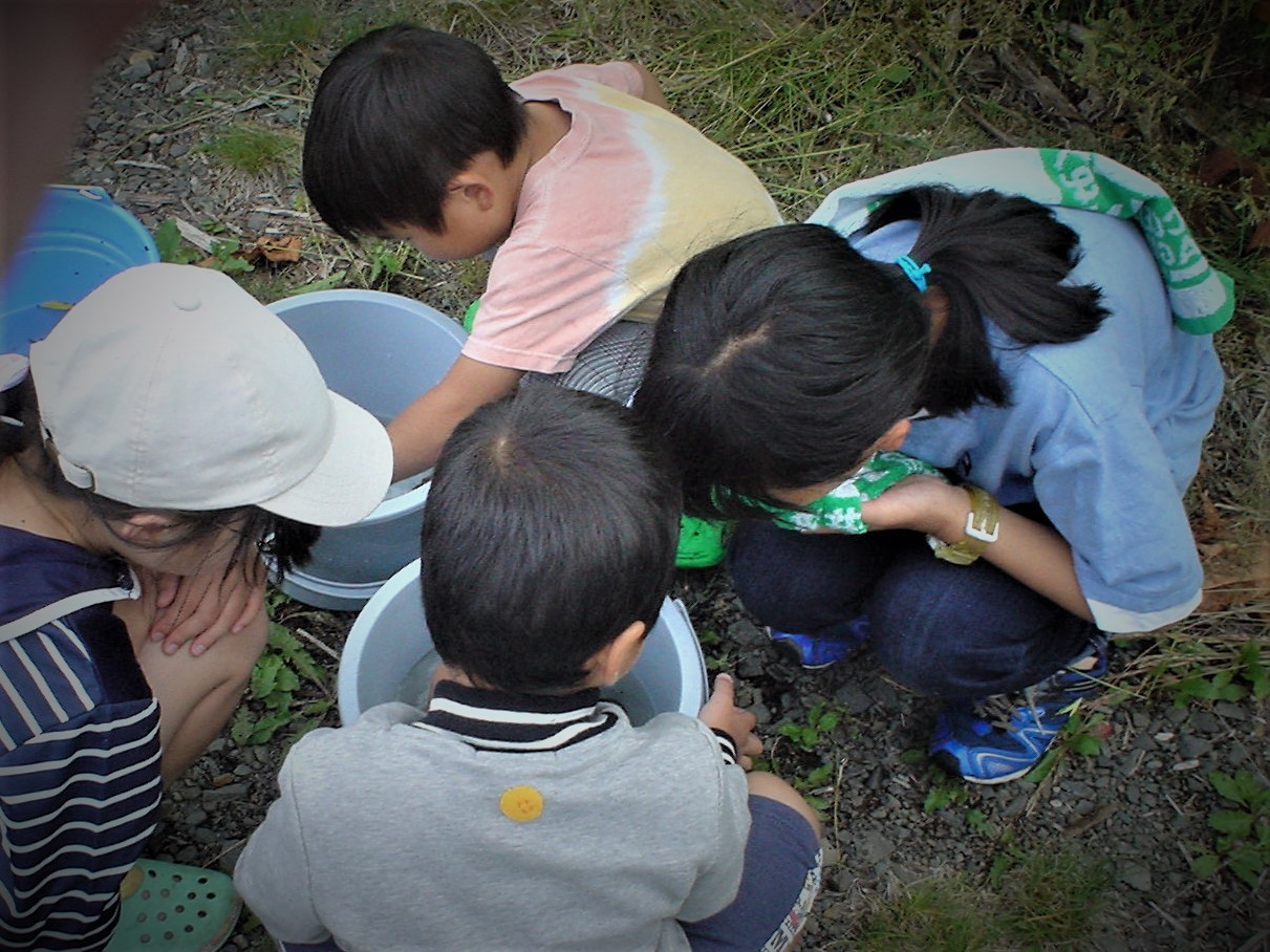 2019年 水生昆虫観察会 第1回目_d0070814_14392018.jpg