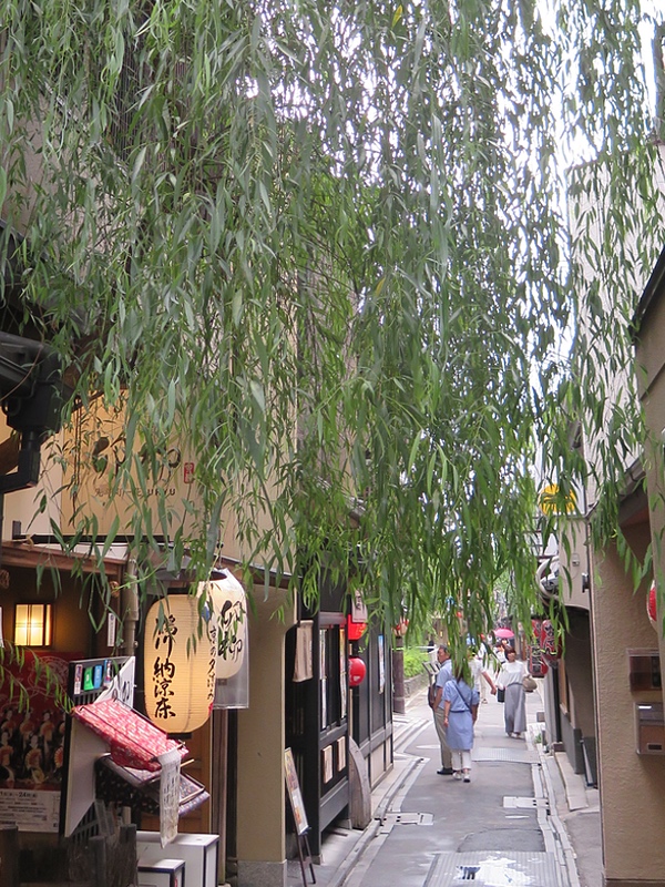 b0408720_17312255.jpg