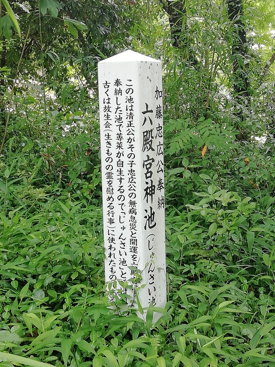f0193521_132427.jpg