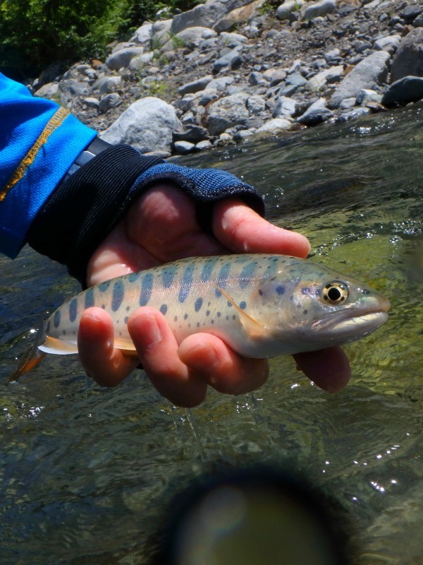 d0091323_09133789.jpg