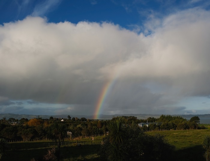 e0310424_11031154.jpg