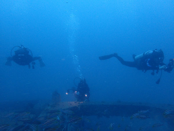 d0164831_16030428.jpg