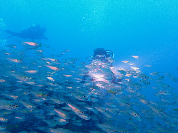 d0164831_16030548.jpg