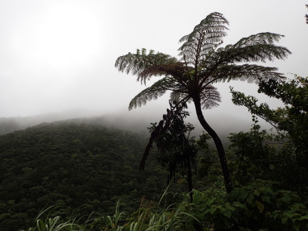 c0353632_13334962.jpg