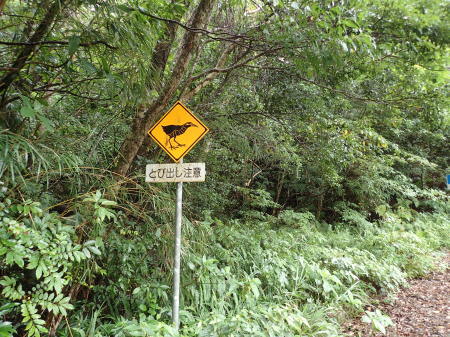 c0353632_15415951.jpg
