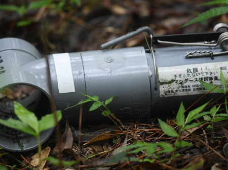 c0353632_15530039.jpg