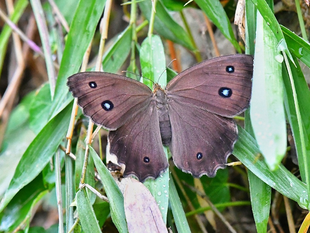 f0340732_21335024.jpg