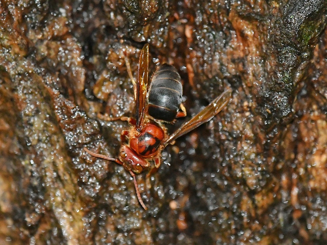 f0340732_21400357.jpg