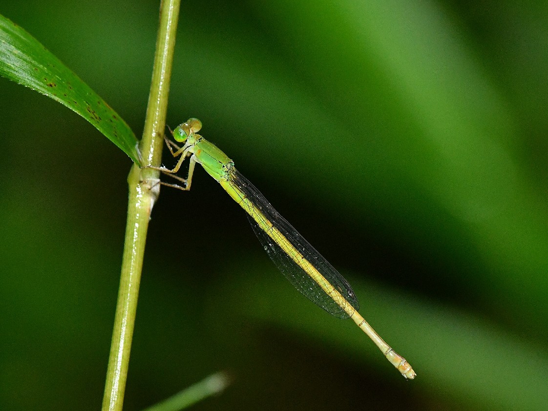 f0340732_21401142.jpg