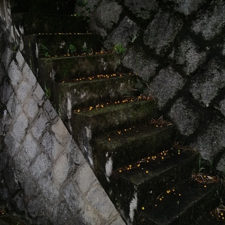 f0340732_22181480.jpg