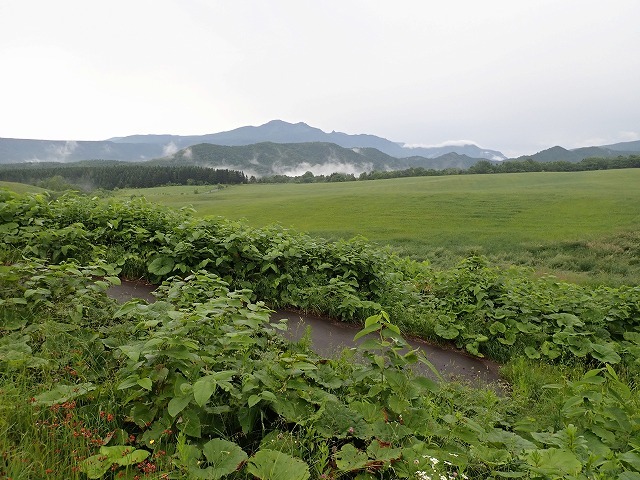 b0341133_17072504.jpg