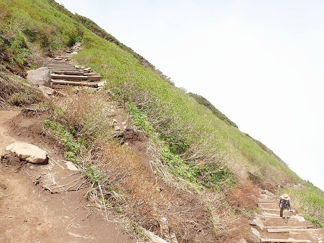 b0341133_17074593.jpg