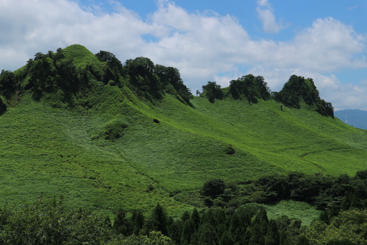 e0272335_5272539.jpg