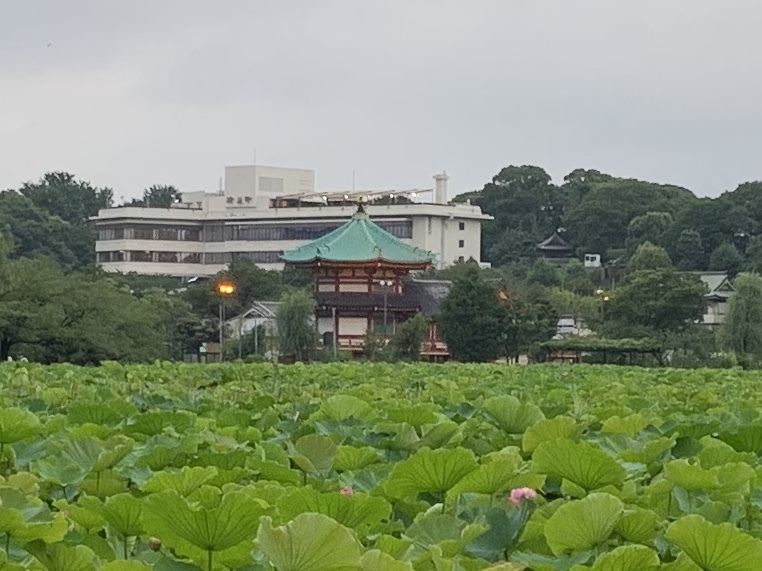 b0330040_06073163.jpeg