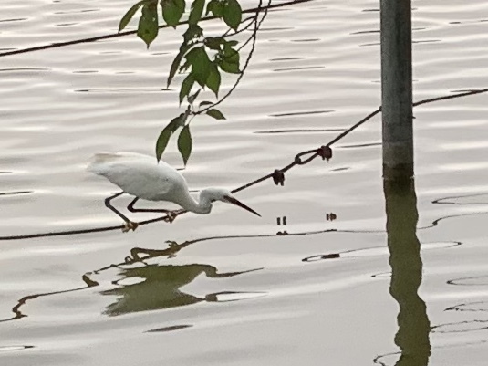 b0330040_06112549.jpeg