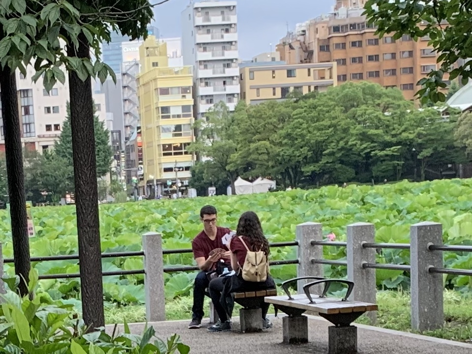 b0330040_06173700.jpeg