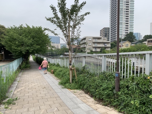 b0330040_13573490.jpeg