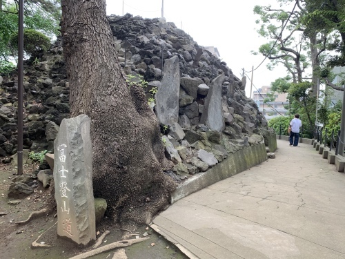 b0330040_15351817.jpeg
