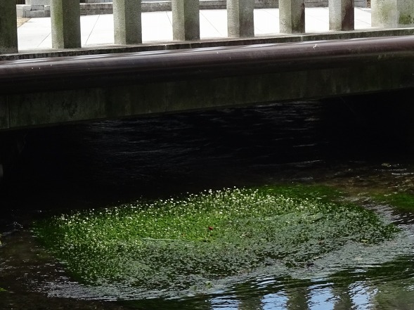 b0299042_22102017.jpg