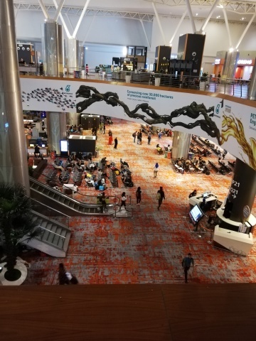 d0168345_08002094.jpg