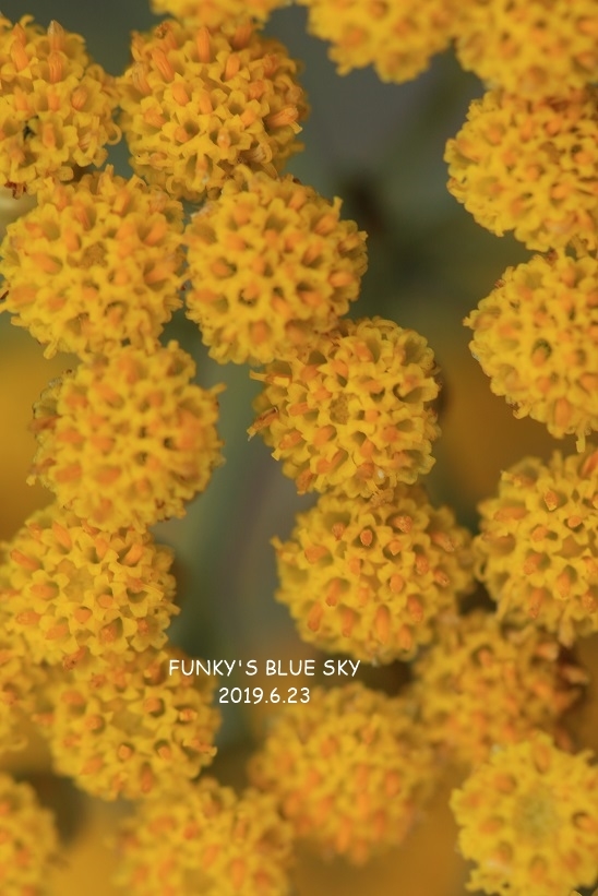 c0145250_09314151.jpg