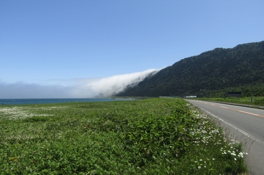 b0220251_16585575.jpg