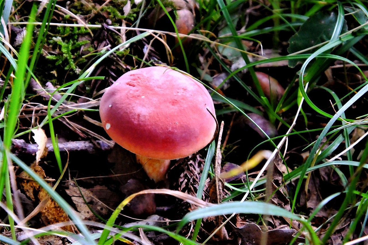 b0236251_14365400.jpg