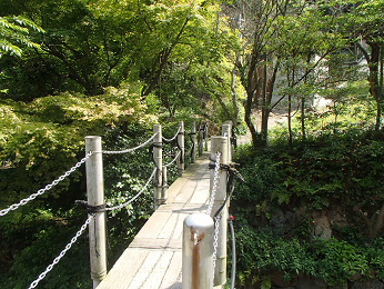 b0135255_14434962.png
