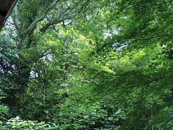 b0135255_14452433.png