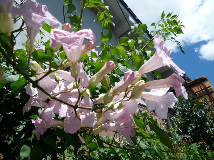 c0043055_11503797.jpg