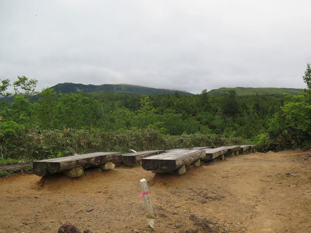 c0116856_20595080.jpg