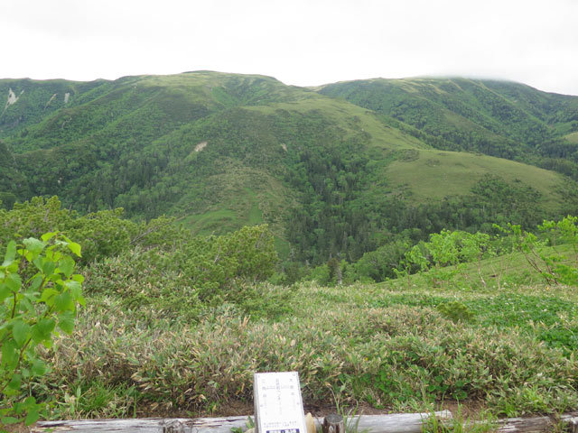 c0116856_20595232.jpg