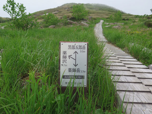 c0116856_21013850.jpg