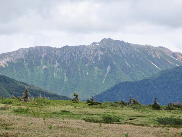 c0116856_21032212.jpg