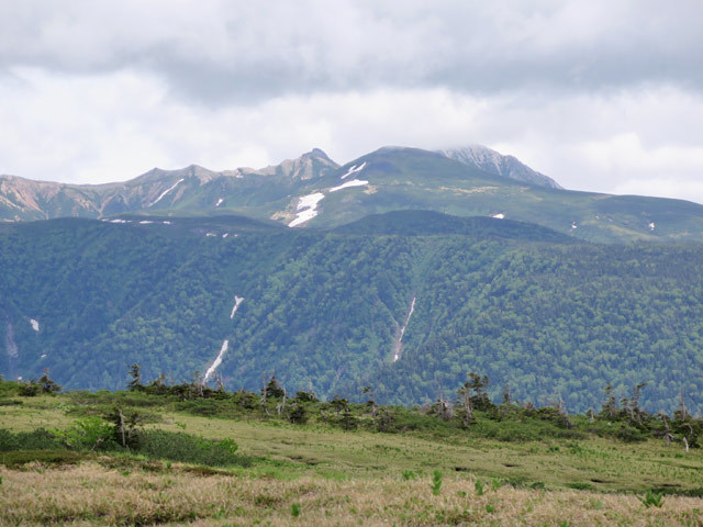 c0116856_21032636.jpg