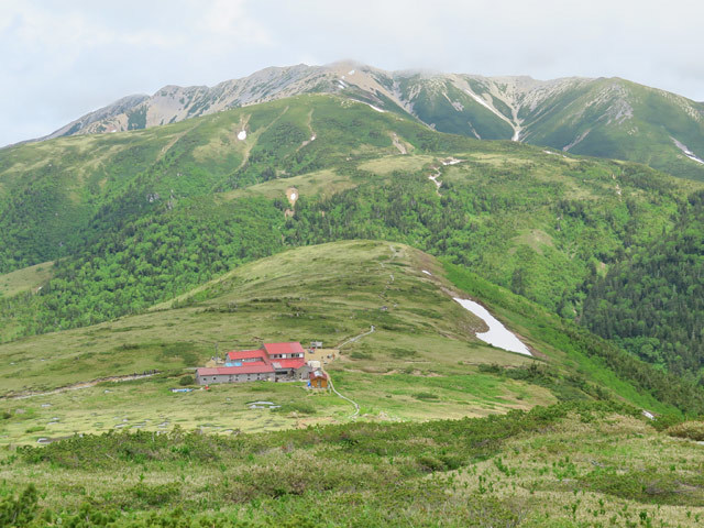 c0116856_21032986.jpg