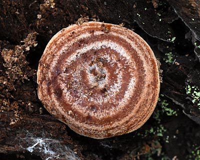 e0035757_22072675.jpg